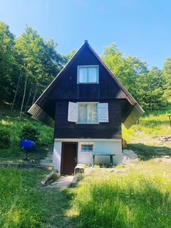 Hnedá chatka