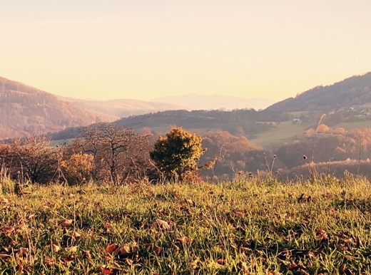 Jesenné pohľady