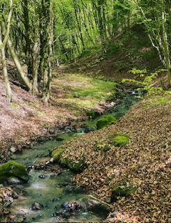 Potôčik pred chatkami