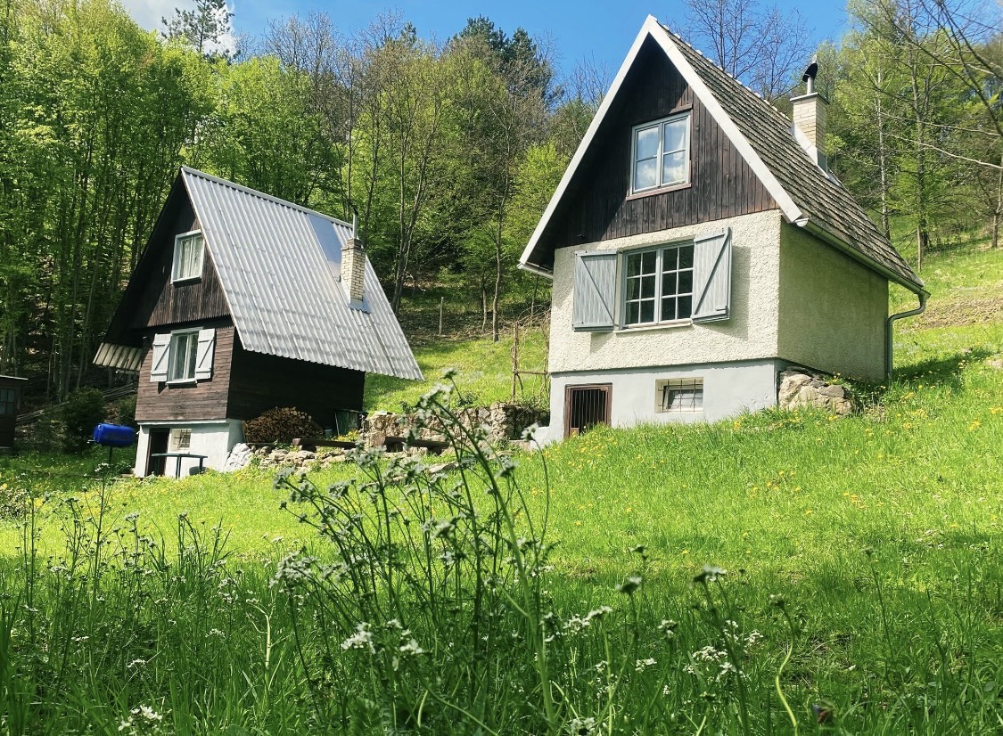 Chatky Biela Sova na samote, v tichom lese pri potoku, obklopené zeleňou a prírodou, ideálne miesto na oddych a návrat k sebe mimo mestského ruchu.